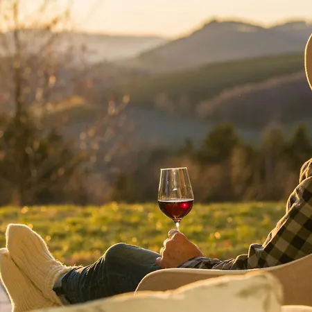 Ferienhaus Modern Nature Idyll With Sauna And Panoramic View Winterberg