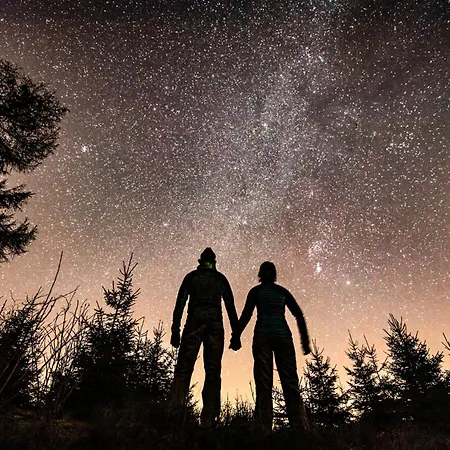 Modern Nature Idyll With Sauna And Panoramic View Winterberg