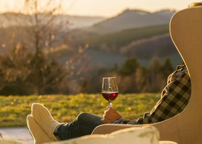 Modern Nature Idyll With Sauna And Panoramic View 度假居 温特贝格