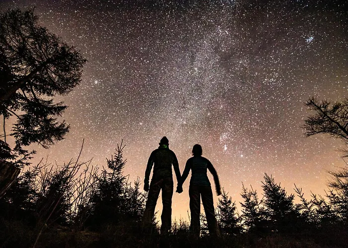 Modern Nature Idyll With Sauna And Panoramic View Winterberg